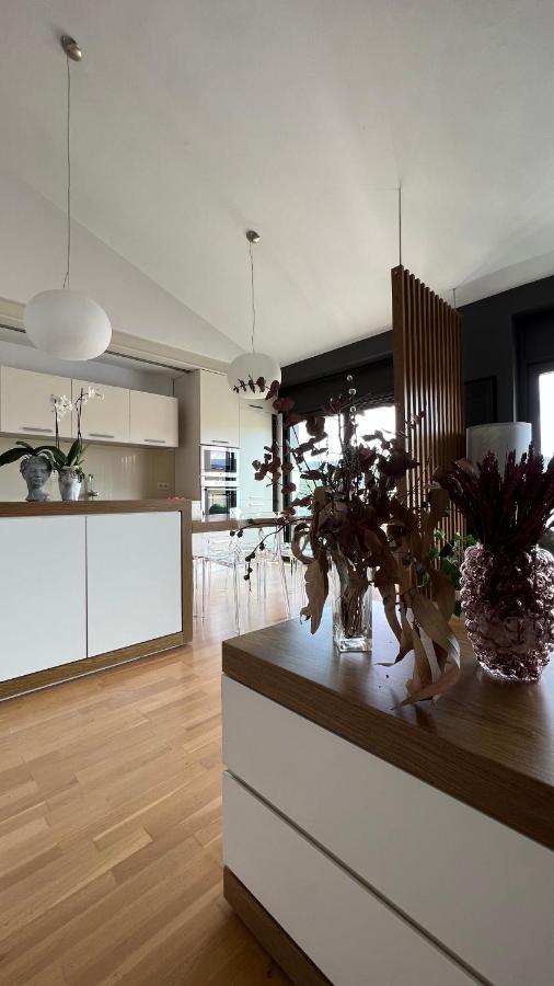 Appartement Atico De Diseno Con Terraza En El Centro De Olot Extérieur photo